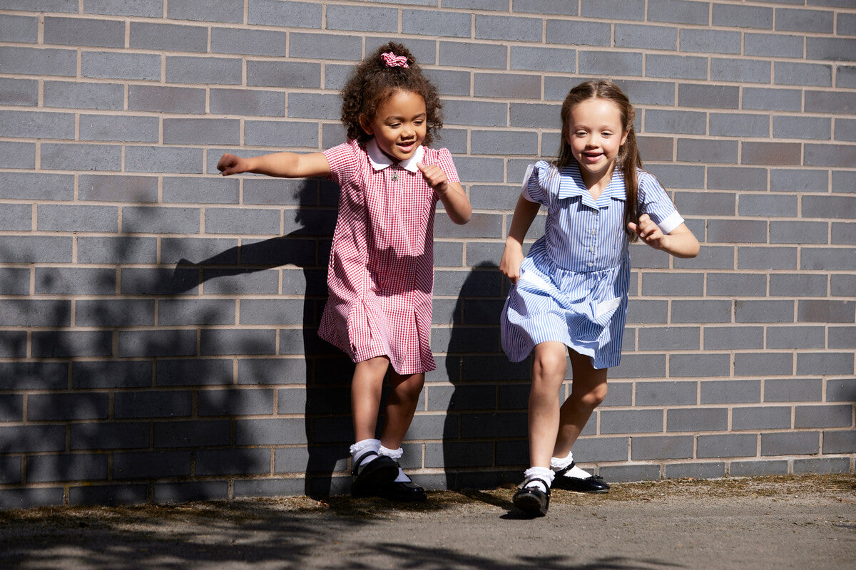 All Primary School Essentials