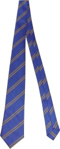 Ysgol Cefn Meiriadog Tie Royal & Gold
