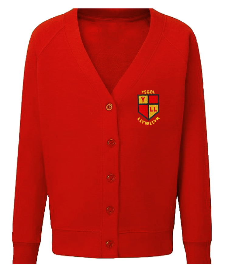 Ysgol Llywelyn Cardigan