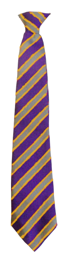 Ysgol Tir Morfa (Secondary) Tie