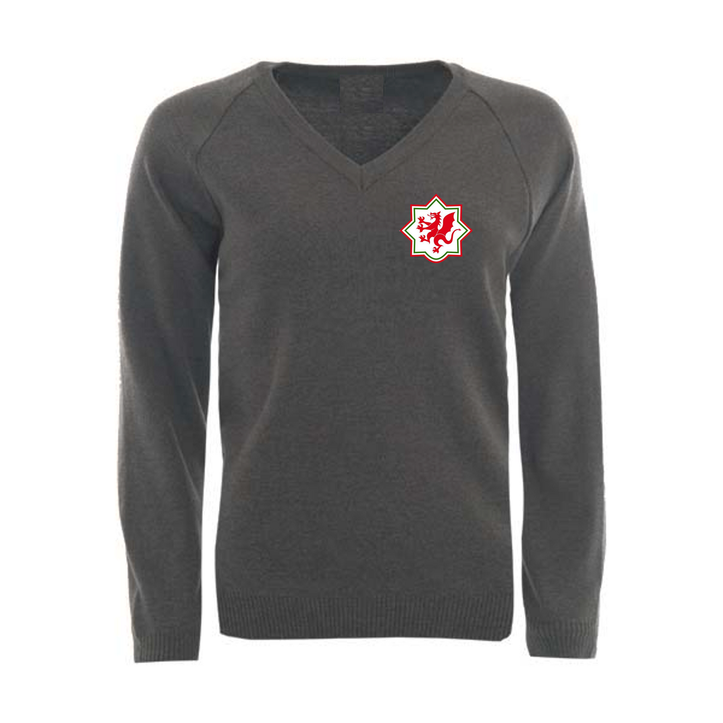 Ysgol Treffynnon V-Neck (with Logo)
