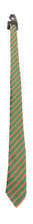 Ysgol Treffynnon Tie (Year 11)