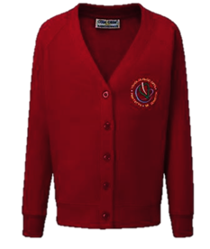 Ysgol Clawdd Offa Cardigan