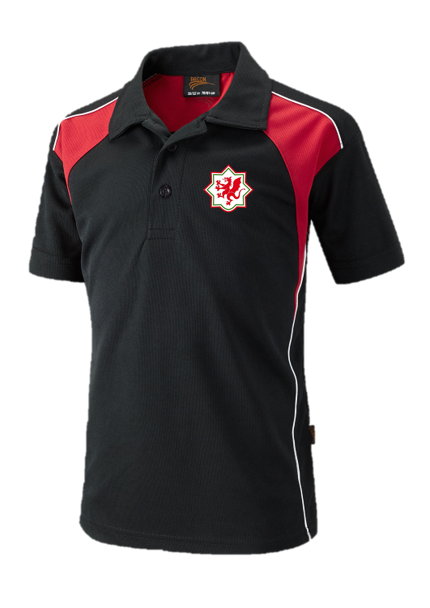 Ysgol Treffynnon PE Polo Shirt (Boys)