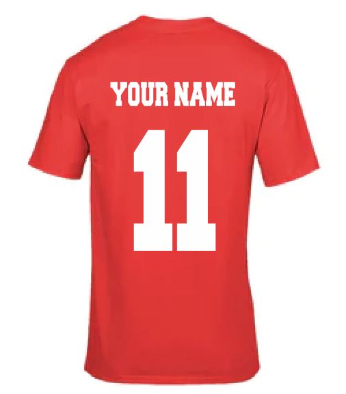 Wales - Football World Cup 2022 T-Shirt - Design 2 (Big Crest)