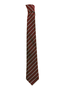 Prestatyn High School Tie